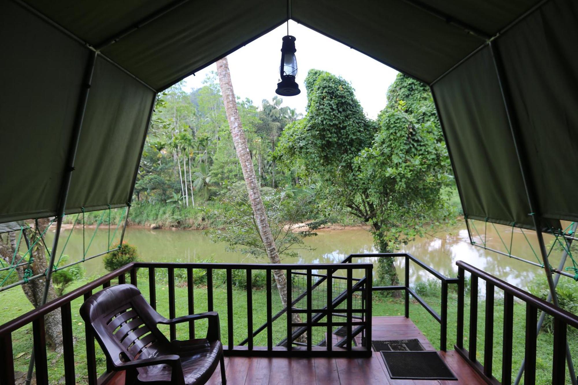 360 Rainforest Deniyaya Exterior photo