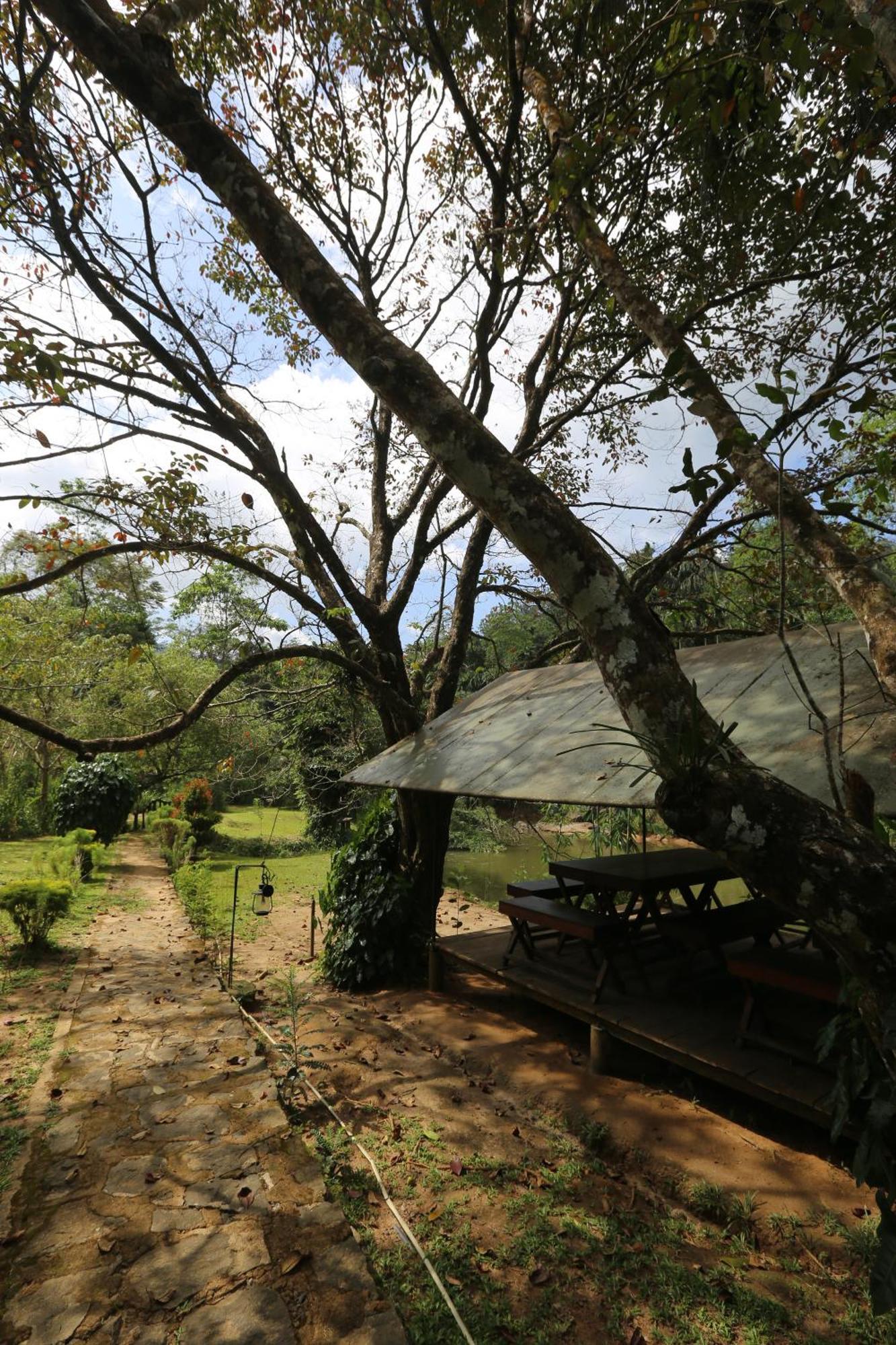 360 Rainforest Deniyaya Exterior photo