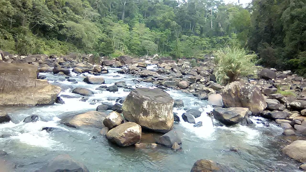 360 Rainforest Deniyaya Exterior photo