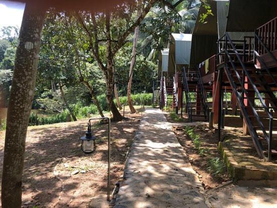 360 Rainforest Deniyaya Exterior photo
